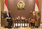 قالیباف با رئیس مجلس اندونزی دیدار کرد