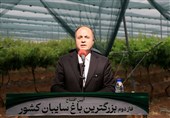 نوری: ایران در 30 محصول باغی رتبههای یک تا دهم دنیا را دارد