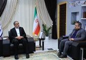 ورود سرمایهگذاران خارجی به پروژههای خورشیدی خراسان جنوبی