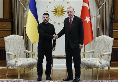 ديدار،اردوغان،تركيه،خبرگزاري