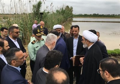 قضايي،تاكيد،سازمان،كشاورزان،رسمي،ابطال،اراضي،سند،مسلح،كشاورز ...