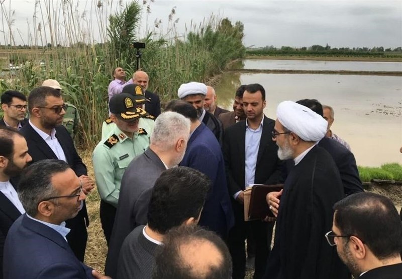 معاون قوه قضائیه‌: با دلالان در بازار برنج برخورد می‌کنیم