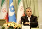 اسلامی: آژانس در سال 2024 بیش از 450 بازرسی انجام داد