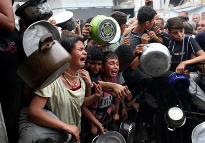 غزه،باريكه،اسرائيل،سازمان،نوار،ملل،پزشكي،نجات،بهداشتي،ارائه، ...