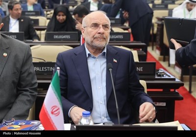 سفر رئیس مجلس به اندونزی