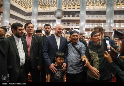 سفر رئیس مجلس به اندونزی