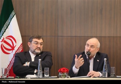 سفر رئیس مجلس به اندونزی