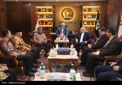 سفر رئیس مجلس به اندونزی
