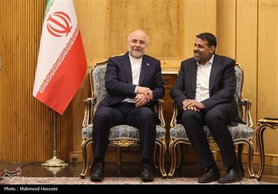سفر رئیس مجلس به اندونزی