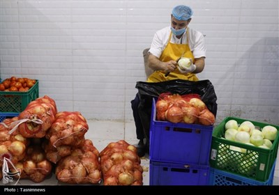 بازدید از آشپزخانه های حجاج ایران در مدینه منوره