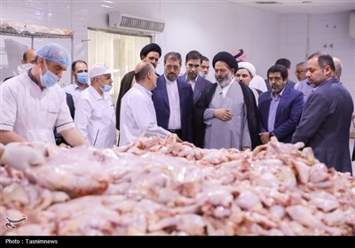 بازدید از آشپزخانه های حجاج ایران در مدینه منوره