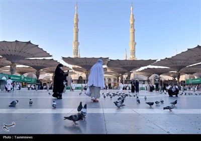 حال و هوای مسجدالنبی در ایام حج