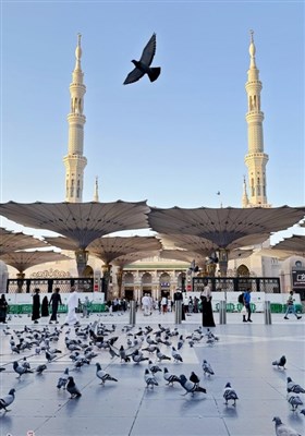 حال و هوای مسجدالنبی در ایام حج
