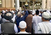 دیدار با پیامبر(ص) و امام (ع) حج را کامل میکند