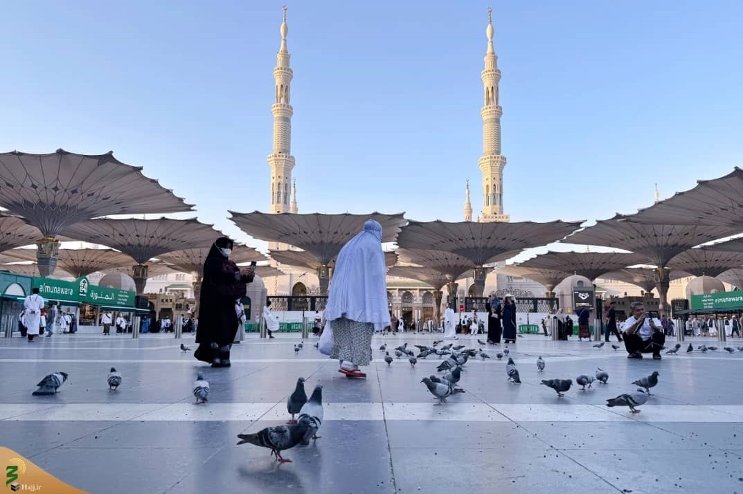 حج 1404 , حج تمتع , مدینه , 