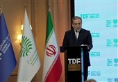 Iran Pursuing Balanced Deal in Nuclear Talks: FM
