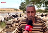 تقریر تسنیم.. ماء العوجا؛ نبع فلسطینی جفّ تحت مضخات الاحتلال