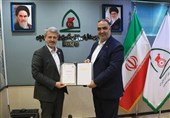 توسعه پاراموی‌تای از اهداف فدراسیون جانبازان و توان یابان