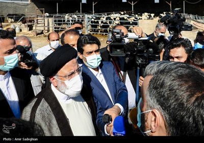 ورقی از خاطرات سفر شهید جمهور به استان فارس