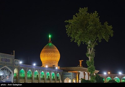 مراسم سالگرد شهدای خدمت در حرم شاهچراغ (ع)