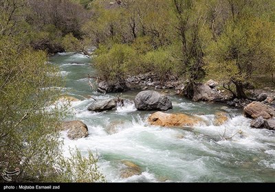 Весенняя природа Ирана - долина Джереми в Урмии