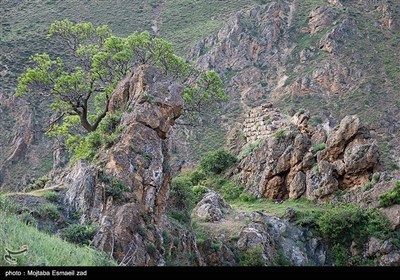 Весенняя природа Ирана - долина Джереми в Урмии