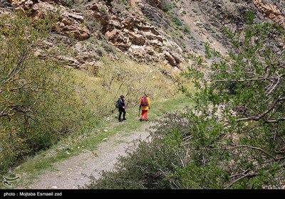 Весенняя природа Ирана - долина Джереми в Урмии