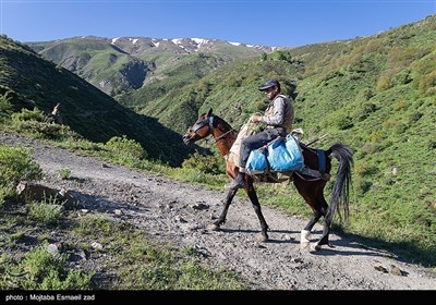 Весенняя природа Ирана - долина Джереми в Урмии