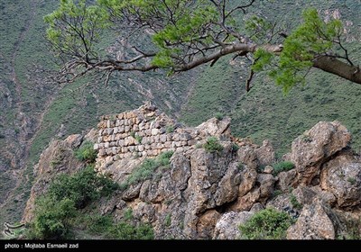 Весенняя природа Ирана - долина Джереми в Урмии