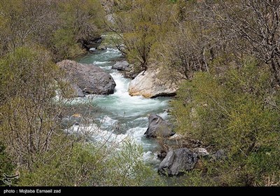 Весенняя природа Ирана - долина Джереми в Урмии