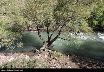 Весенняя природа Ирана - долина Джереми в Урмии