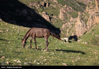 Весенняя природа Ирана - долина Джереми в Урмии