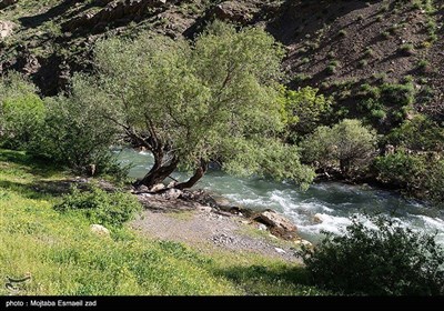 Весенняя природа Ирана - долина Джереми в Урмии