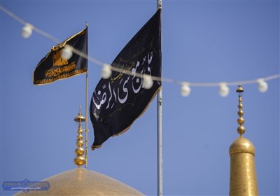 رضوي،رضا،امام،شهادت،زيارت،حضرت،روز،زائران،مطهر،حرم،قرائت،سيد ...