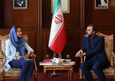 يكجانبه،حقوق،اقدامات،بشر،امور،كنفرانس،گزارشگر،نقض،ملاقات