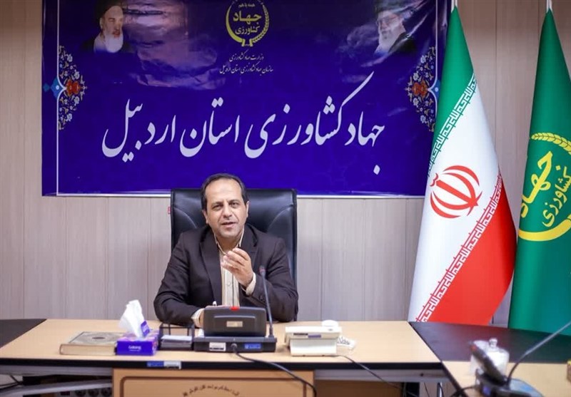  بهبود اقتصاد خانوارها با تولیدات متنوع کشاورزی 