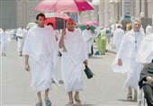 14000 زائر عمانی در راه سرزمین وحی
