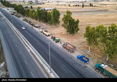 آغاز برداشت کشت‌های دیم در خوزستان