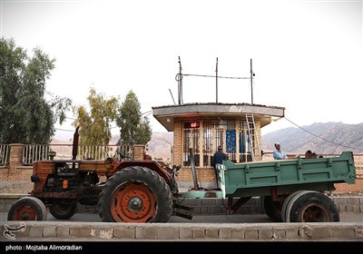 آغاز برداشت کشت‌های دیم در خوزستان