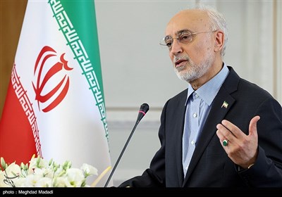 علی اکبر صالحی وزیر اسبق امور خارجه