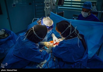 بمناسبت 31 اردیبهشت روز ملی اهدای عضو،اهدای زندگی