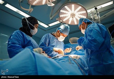 عضو،بيمار،همدان،اهداي،پيوند