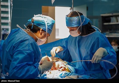 اراك،شهرداري،اهداي،قطعه،عضو،شهر،رويكرد،جان،پزشكي