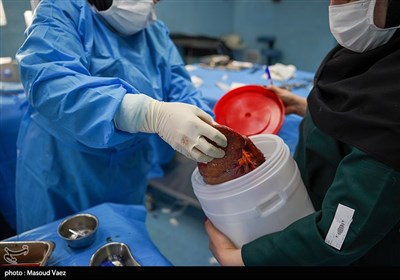 بمناسبت 31 اردیبهشت روز ملی اهدای عضو،اهدای زندگی