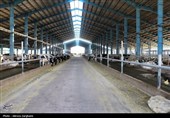 احیای واحدهای راکد تولیدی خراسان شمالی در دستور کار کارگروه تسهیل