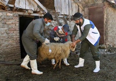 جهادي،عشايري،بسيج،سازمان،سازندگي،كشور،قرارگاه،مدير،ساداتي،دا ...