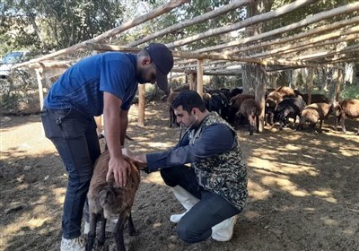 رزمایش جهاد دامپزشکی در طالقان