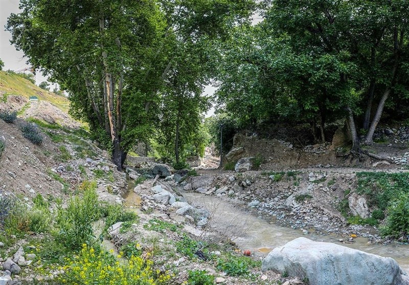  تکمیل فاز دوم اکوپارک فرحزاد در سال جاری 