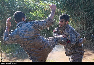 تکاوران نیروی دریایی ارتش جمهوری اسلامی ایران
