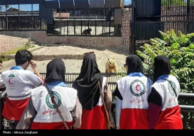 جمعيت،امدادرساني،اصابت،اضطراري،خودداري،مناطق،مديريت،شرايط،نج ...